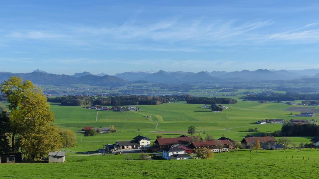 Ferienwohnung Steger Mattsee Exteriör bild