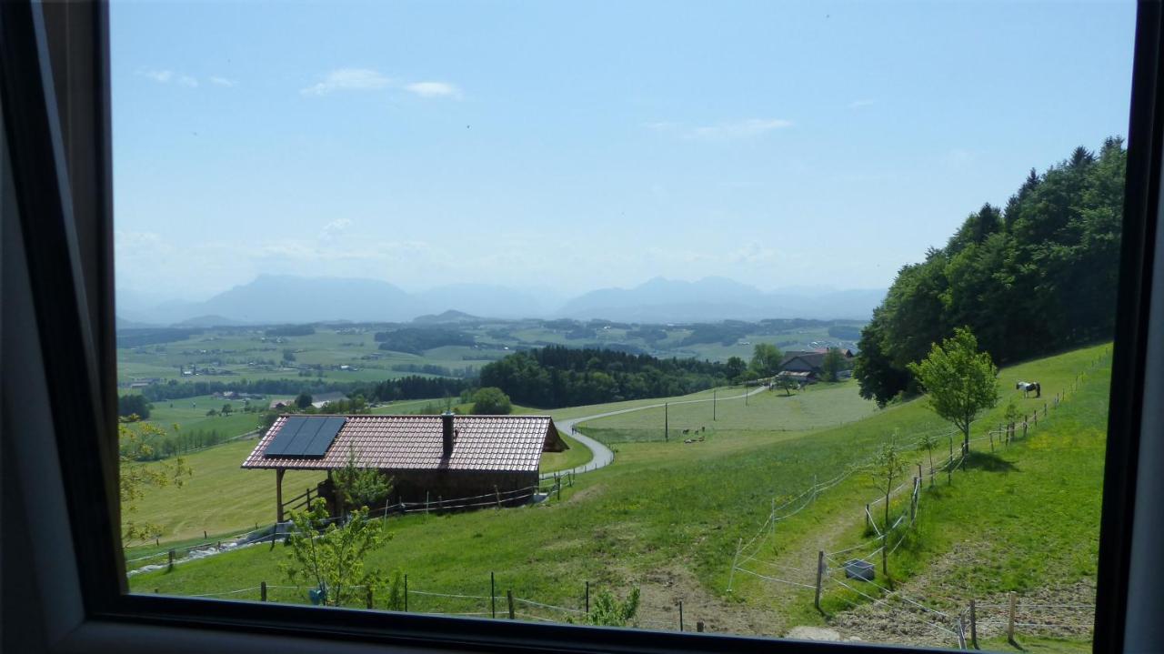 Ferienwohnung Steger Mattsee Exteriör bild