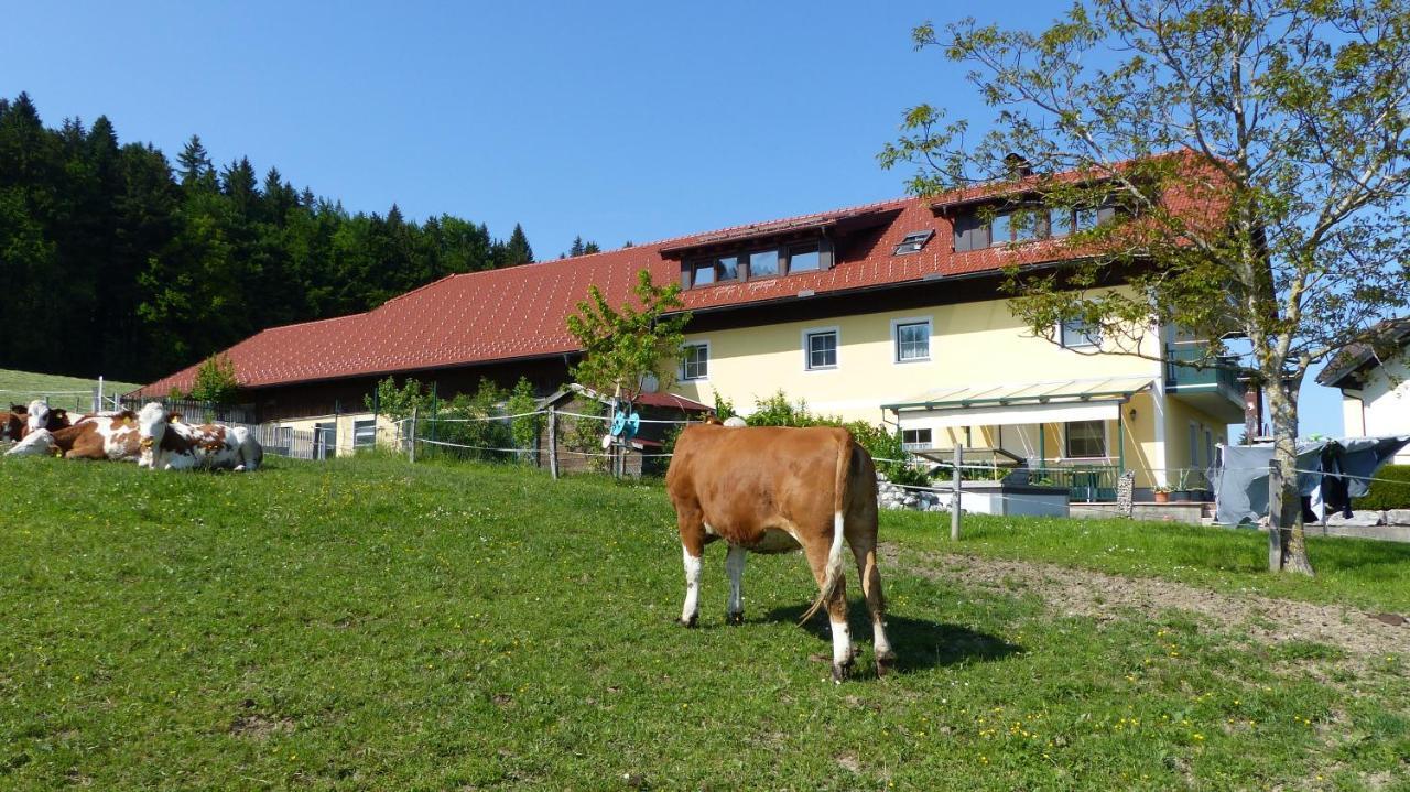 Ferienwohnung Steger Mattsee Exteriör bild