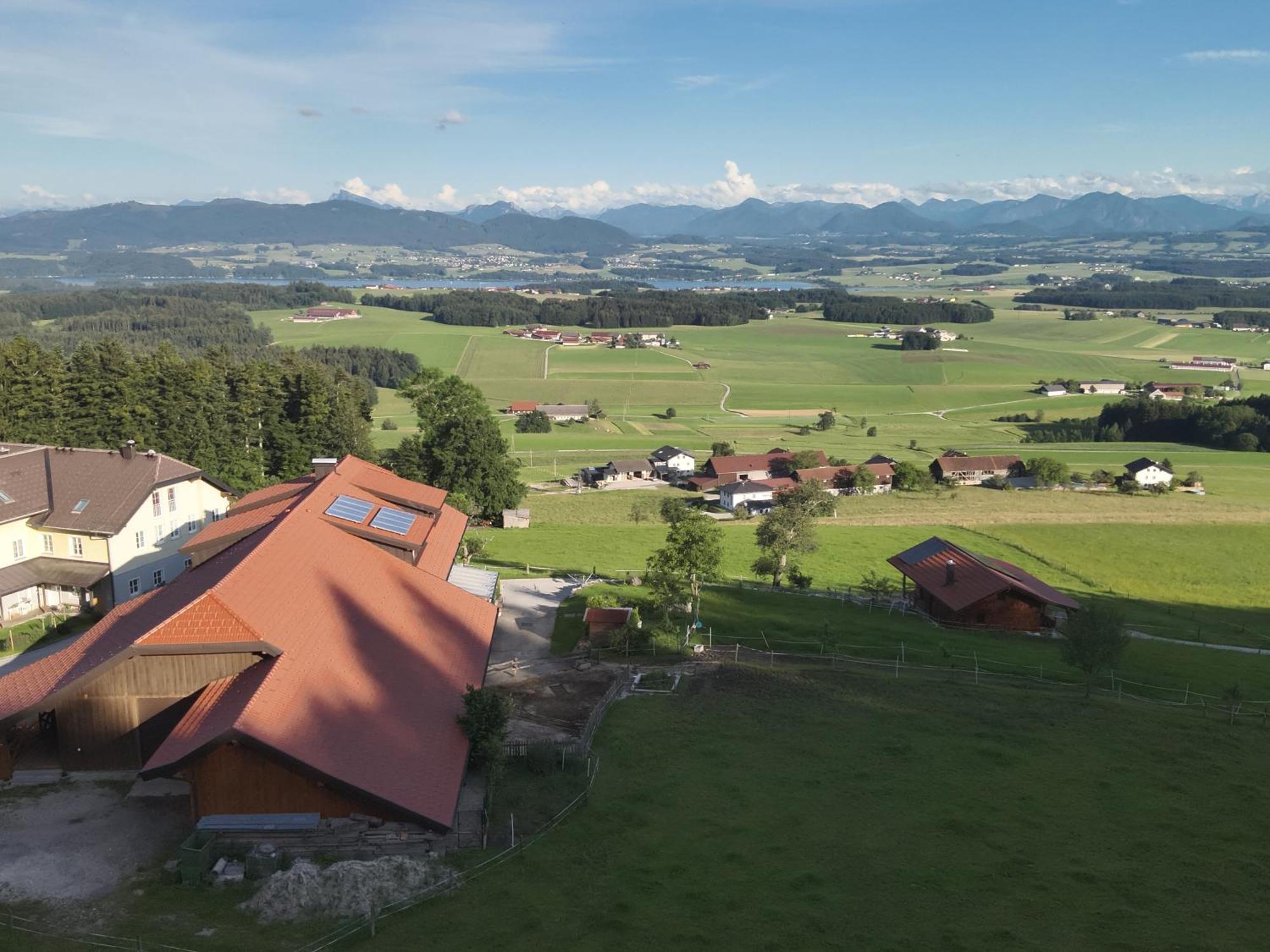 Ferienwohnung Steger Mattsee Exteriör bild