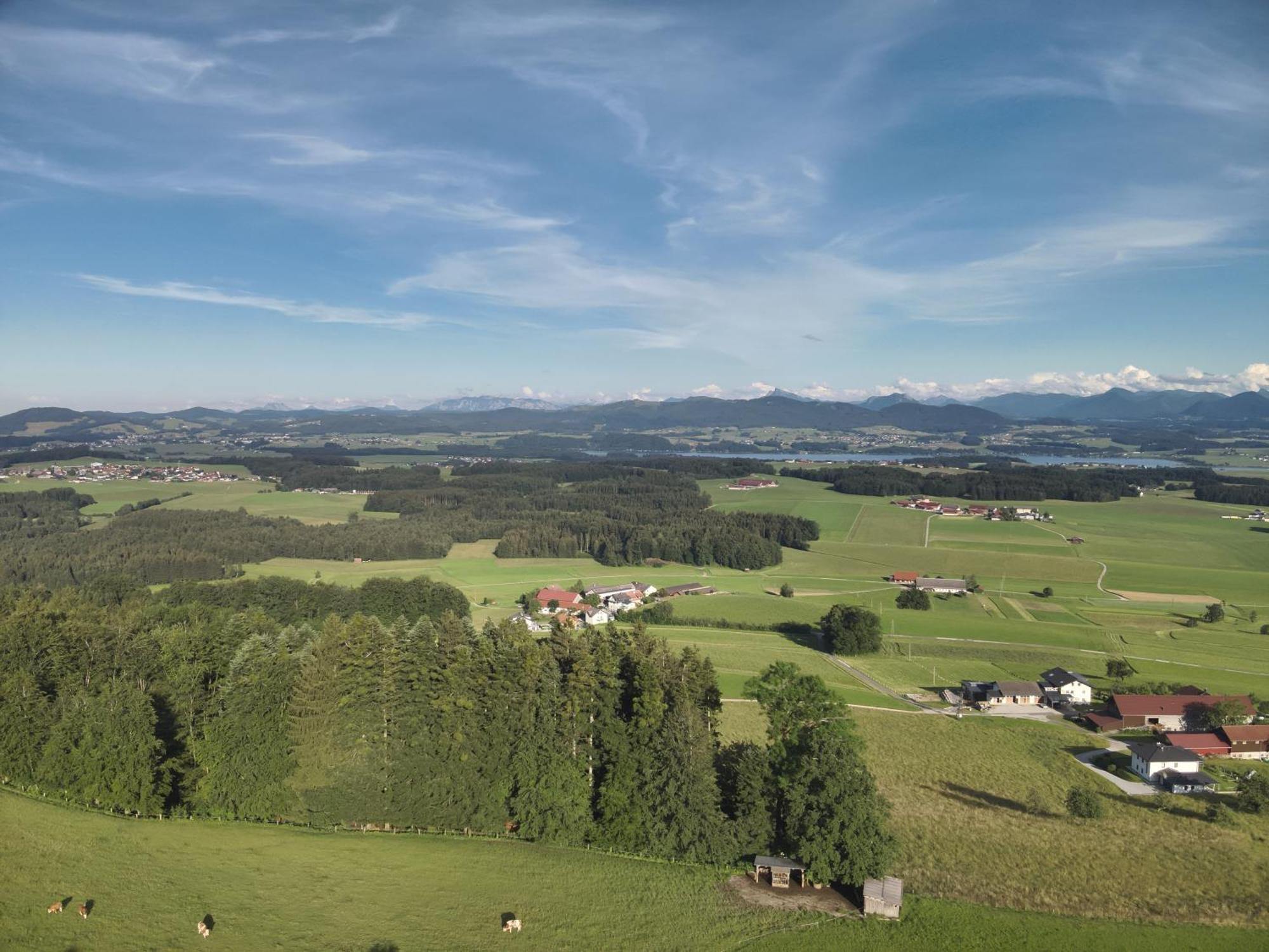 Ferienwohnung Steger Mattsee Exteriör bild